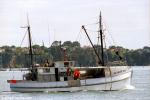 ID 2362 SEA HARVEST - a Coromandel-based trawler outbound from Auckland, NZ.